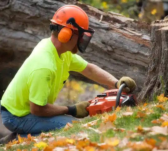 tree services Boothville